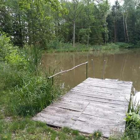 Holiday home Holiday In Lisov/sudbohmen 30467 Lisov (South Bohemian)