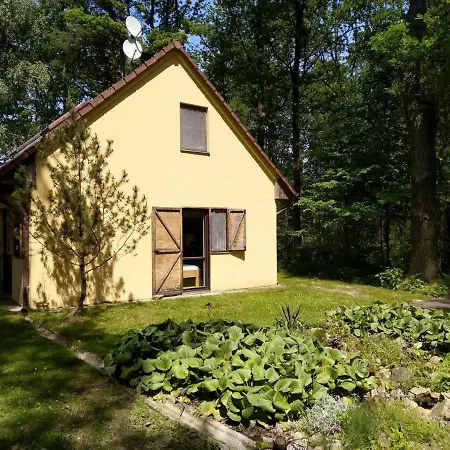 Holiday In Lisov/sudbohmen 30467 Holiday home
